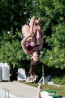 Thumbnail - Participants - Plongeon - 2017 - 8. Sofia Diving Cup 03012_13845.jpg