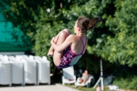 Thumbnail - Participants - Прыжки в воду - 2017 - 8. Sofia Diving Cup 03012_13848.jpg