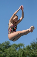 Thumbnail - Participants - Plongeon - 2017 - 8. Sofia Diving Cup 03012_13999.jpg