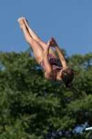 Thumbnail - Participants - Plongeon - 2017 - 8. Sofia Diving Cup 03012_14042.jpg