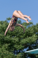 Thumbnail - Teilnehmer - Wasserspringen - 2017 - 8. Sofia Diving Cup 03012_14084.jpg