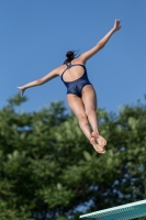 Thumbnail - Teilnehmer - Wasserspringen - 2017 - 8. Sofia Diving Cup 03012_14101.jpg