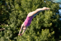 Thumbnail - Participants - Plongeon - 2017 - 8. Sofia Diving Cup 03012_14574.jpg