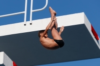 Thumbnail - Boys C - Tudor P - Wasserspringen - 2017 - 8. Sofia Diving Cup - Teilnehmer - Rumänien 03012_15195.jpg