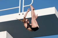 Thumbnail - Participants - Diving Sports - 2017 - 8. Sofia Diving Cup 03012_15201.jpg