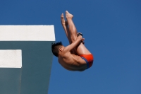 Thumbnail - Participants - Прыжки в воду - 2017 - 8. Sofia Diving Cup 03012_15728.jpg