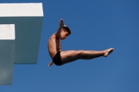 Thumbnail - Boys C - Tudor P - Прыжки в воду - 2017 - 8. Sofia Diving Cup - Participants - Rumänien 03012_15739.jpg