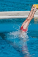 Thumbnail - Participants - Прыжки в воду - 2017 - 8. Sofia Diving Cup 03012_16043.jpg