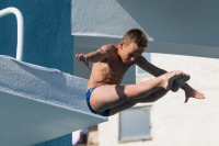 Thumbnail - Participants - Прыжки в воду - 2017 - 8. Sofia Diving Cup 03012_16736.jpg