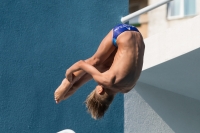 Thumbnail - Teilnehmer - Wasserspringen - 2017 - 8. Sofia Diving Cup 03012_16776.jpg