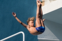 Thumbnail - Participants - Прыжки в воду - 2017 - 8. Sofia Diving Cup 03012_16778.jpg