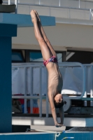 Thumbnail - Participants - Прыжки в воду - 2017 - 8. Sofia Diving Cup 03012_17354.jpg