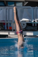 Thumbnail - Teilnehmer - Wasserspringen - 2017 - 8. Sofia Diving Cup 03012_17355.jpg