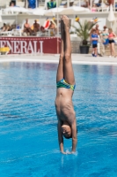 Thumbnail - Participants - Прыжки в воду - 2017 - 8. Sofia Diving Cup 03012_18583.jpg