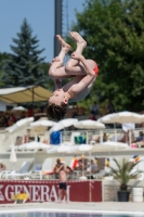 Thumbnail - Boys D - Jack - Plongeon - 2017 - 8. Sofia Diving Cup - Participants - Grossbritannien - Boys 03012_18813.jpg