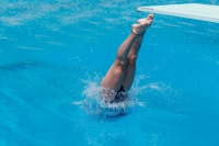 Thumbnail - Participants - Прыжки в воду - 2017 - 8. Sofia Diving Cup 03012_19699.jpg