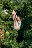 Thumbnail - Teilnehmer - Wasserspringen - 2017 - 8. Sofia Diving Cup 03012_21826.jpg