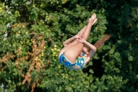 Thumbnail - Participants - Plongeon - 2017 - 8. Sofia Diving Cup 03012_22005.jpg