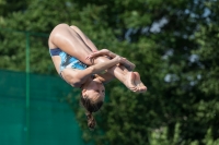 Thumbnail - Girls B - Martha Clarke - Прыжки в воду - 2017 - 8. Sofia Diving Cup - Participants - Grossbritannien - Girls 03012_22367.jpg