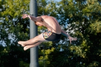 Thumbnail - Boys A - Samuel Mansfield - Прыжки в воду - 2017 - 8. Sofia Diving Cup - Participants - Grossbritannien - Boys 03012_22530.jpg