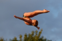 Thumbnail - Teilnehmer - Wasserspringen - 2017 - 8. Sofia Diving Cup 03012_23090.jpg