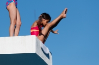 Thumbnail - Participants - Прыжки в воду - 2017 - 8. Sofia Diving Cup 03012_23771.jpg