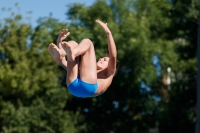 Thumbnail - Boys C - Yulian - Прыжки в воду - 2017 - 8. Sofia Diving Cup - Participants - Bulgarien - Boys 03012_24787.jpg