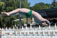 Thumbnail - Participants - Прыжки в воду - 2017 - 8. Sofia Diving Cup 03012_25262.jpg