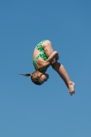 Thumbnail - Participants - Прыжки в воду - 2017 - 8. Sofia Diving Cup 03012_25668.jpg