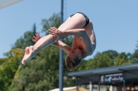 Thumbnail - Boys B - Danil Yegorov - Прыжки в воду - 2017 - 8. Sofia Diving Cup - Participants - Kasachstan 03012_28251.jpg