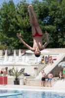 Thumbnail - Grossbritannien - Boys - Прыжки в воду - 2017 - 8. Sofia Diving Cup - Participants 03012_28955.jpg