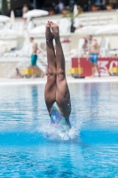 Thumbnail - Participants - Прыжки в воду - 2017 - 8. Sofia Diving Cup 03012_35644.jpg