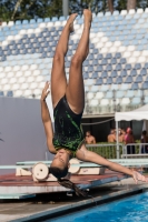 Thumbnail - Alessandra F - Diving Sports - 2017 - Trofeo Niccolo Campo - Participants - Italien - Girls C 03013_01163.jpg