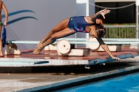 Thumbnail - Italien - Girls C - Diving Sports - 2017 - Trofeo Niccolo Campo - Participants 03013_01216.jpg