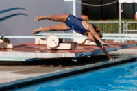 Thumbnail - Italien - Girls C - Diving Sports - 2017 - Trofeo Niccolo Campo - Participants 03013_01217.jpg