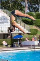 Thumbnail - Alessandra F - Прыжки в воду - 2017 - Trofeo Niccolo Campo - Participants - Italien - Girls C 03013_01221.jpg