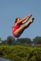 Thumbnail - Claudia - Diving Sports - 2017 - Trofeo Niccolo Campo - Participants - Italien - Girls C 03013_01308.jpg