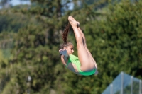 Thumbnail - Girls B - Sofia Moscardelli - Diving Sports - 2017 - Trofeo Niccolo Campo - Participants - Italy - Girls A and B 03013_01565.jpg