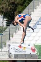 Thumbnail - Girls B - Vittoria Gigli Bertea - Diving Sports - 2017 - Trofeo Niccolo Campo - Participants - Italy - Girls A and B 03013_01629.jpg