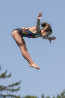 Thumbnail - Italien - Girls C - Diving Sports - 2017 - Trofeo Niccolo Campo - Participants 03013_03042.jpg