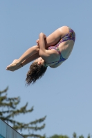 Thumbnail - Italien - Girls C - Diving Sports - 2017 - Trofeo Niccolo Campo - Participants 03013_03055.jpg