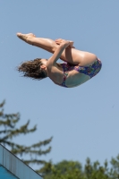 Thumbnail - Erica - Diving Sports - 2017 - Trofeo Niccolo Campo - Participants - Italien - Girls C 03013_03056.jpg