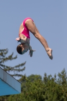 Thumbnail - Italien - Girls C - Diving Sports - 2017 - Trofeo Niccolo Campo - Participants 03013_03164.jpg