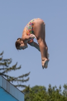 Thumbnail - Italien - Girls C - Diving Sports - 2017 - Trofeo Niccolo Campo - Participants 03013_03193.jpg