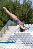 Thumbnail - Erica - Diving Sports - 2017 - Trofeo Niccolo Campo - Participants - Italien - Girls C 03013_03310.jpg