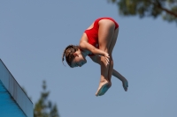 Thumbnail - Sofia K - Diving Sports - 2017 - Trofeo Niccolo Campo - Participants - Italien - Girls C 03013_03527.jpg