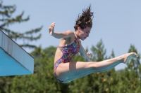 Thumbnail - Erica - Diving Sports - 2017 - Trofeo Niccolo Campo - Participants - Italien - Girls C 03013_03585.jpg