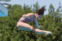 Thumbnail - Erica - Diving Sports - 2017 - Trofeo Niccolo Campo - Participants - Italien - Girls C 03013_03586.jpg