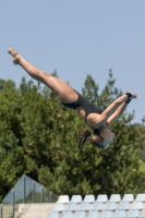 Thumbnail - Alessandra F - Diving Sports - 2017 - Trofeo Niccolo Campo - Participants - Italien - Girls C 03013_03618.jpg