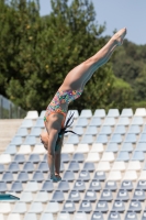 Thumbnail - Claudia - Diving Sports - 2017 - Trofeo Niccolo Campo - Participants - Italien - Girls C 03013_03742.jpg